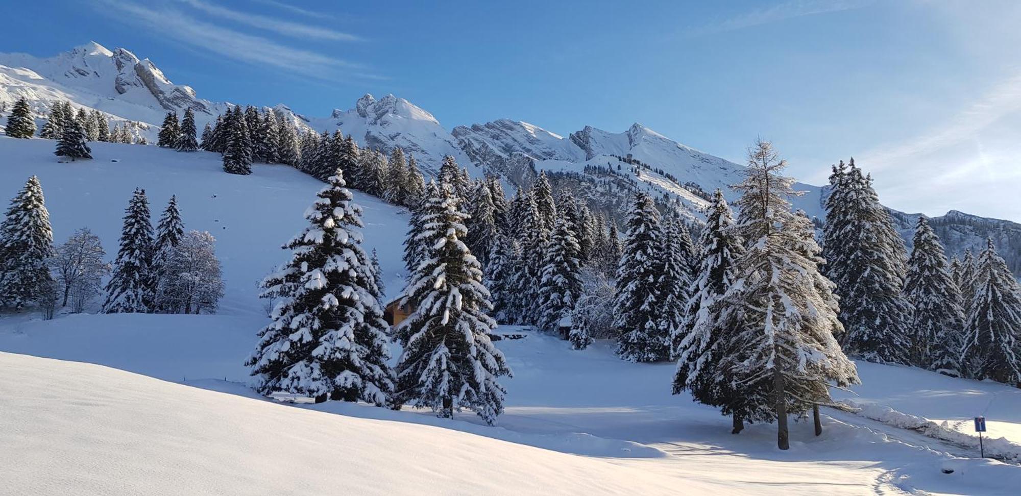 Appartement Cosy Face Aux Aravis Le Grand-Bornand Exteriör bild